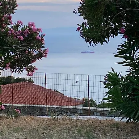 Studio In Paleopoli